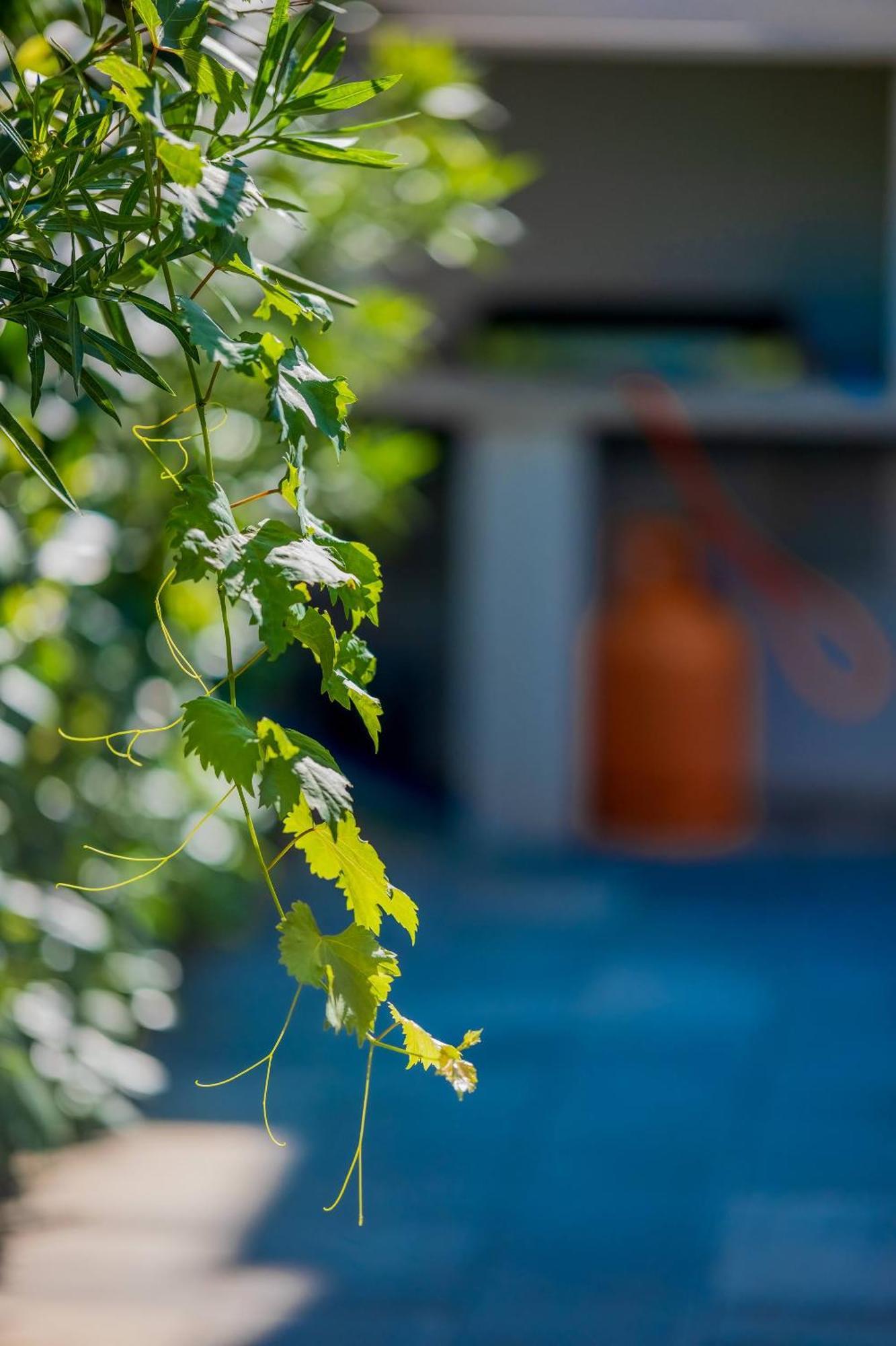 Villa Essenza - Luksuzne Kuce Za Odmor Vodice Bagian luar foto
